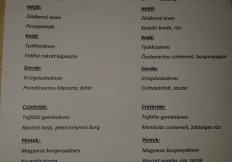 IMG-5af2631a493d094760915d276a2ab304-V